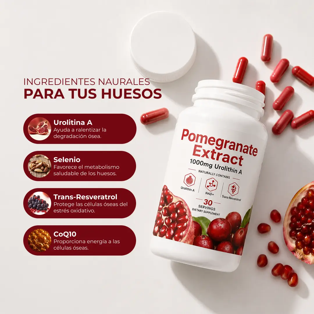 Extracto de Granada